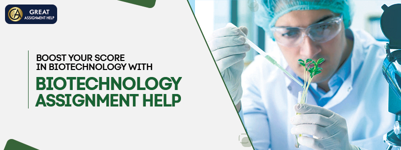 Online Assignment Help