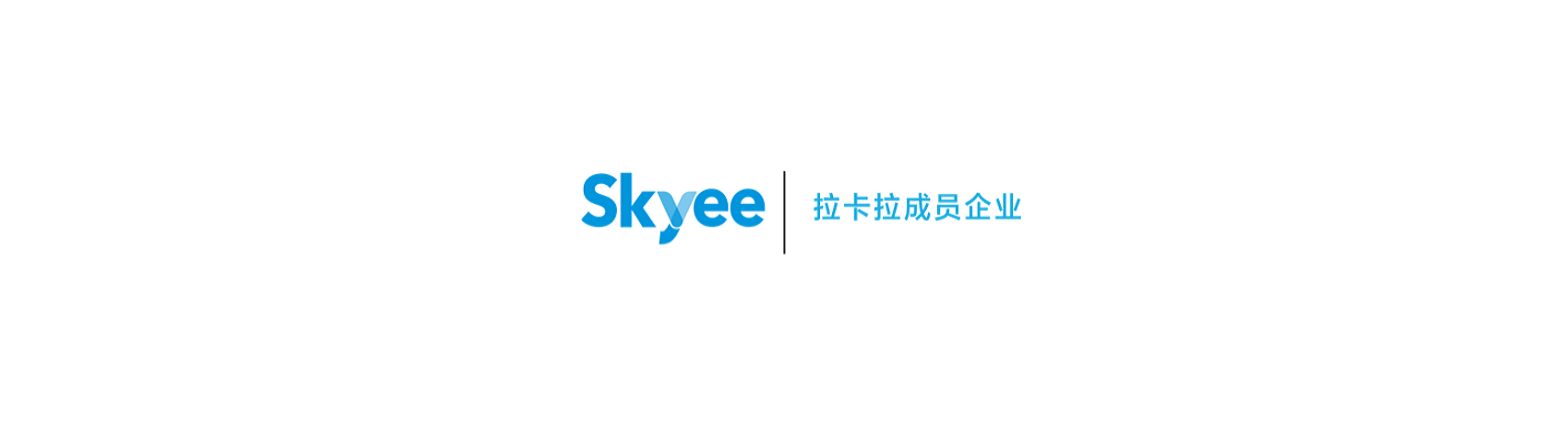 Skyee India: Receive Global Payments in India | https://in.skyee360.com/