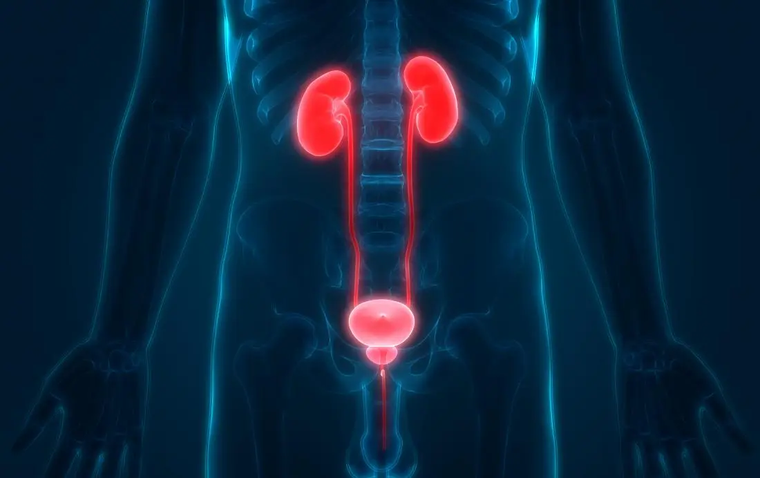 Report on Vesicoureteral Reflux Market Research 2027 - Value Market Research