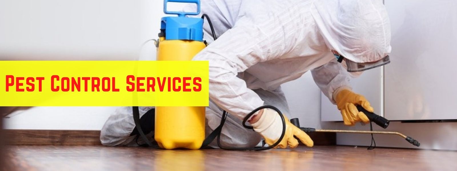 Pest Control Services Market 2020 Size, Dynamics & Forecast Report to 2027