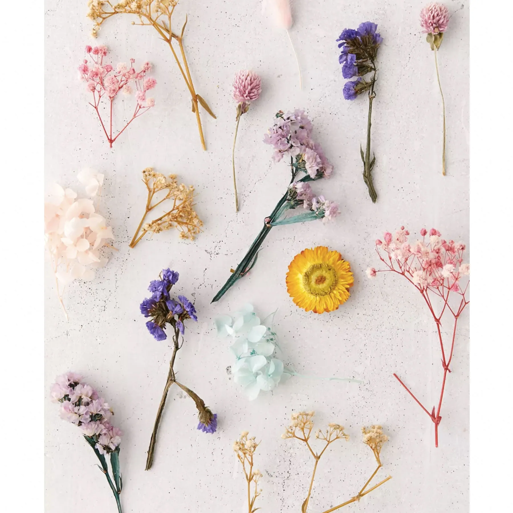 Dried Flowers Market | Global Industry Trends, Segmentation, Business Opportunities & Forecast To 2027