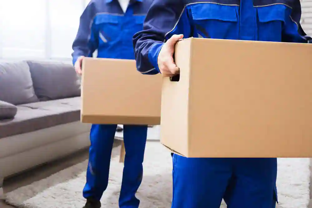 Checkout the Trash Removal Services in Sequim, WA