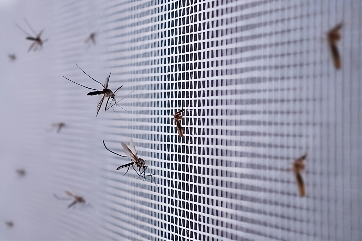 How do mosquito nets for windows enhance ventilation while keeping insects out?