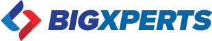 https://www.bigxperts.com