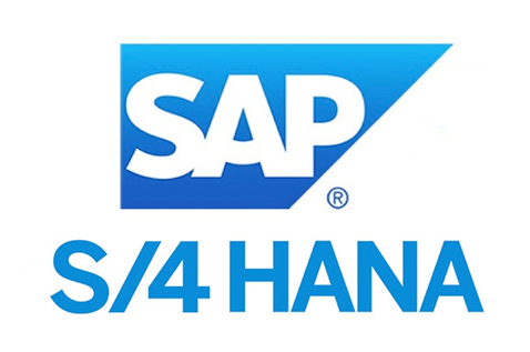 Optimizing SAP HANA Costs: Strategies for Maximum Value