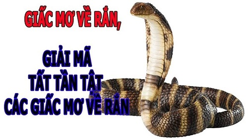 Đi đường Gặp rắn báo hiệu điềm gì
