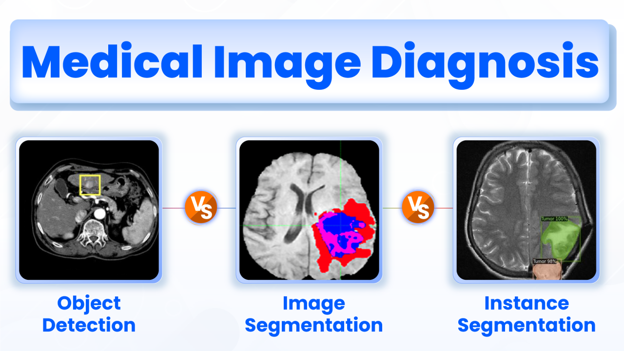 Semantic Segmentation Services for Medical Imaging Needs