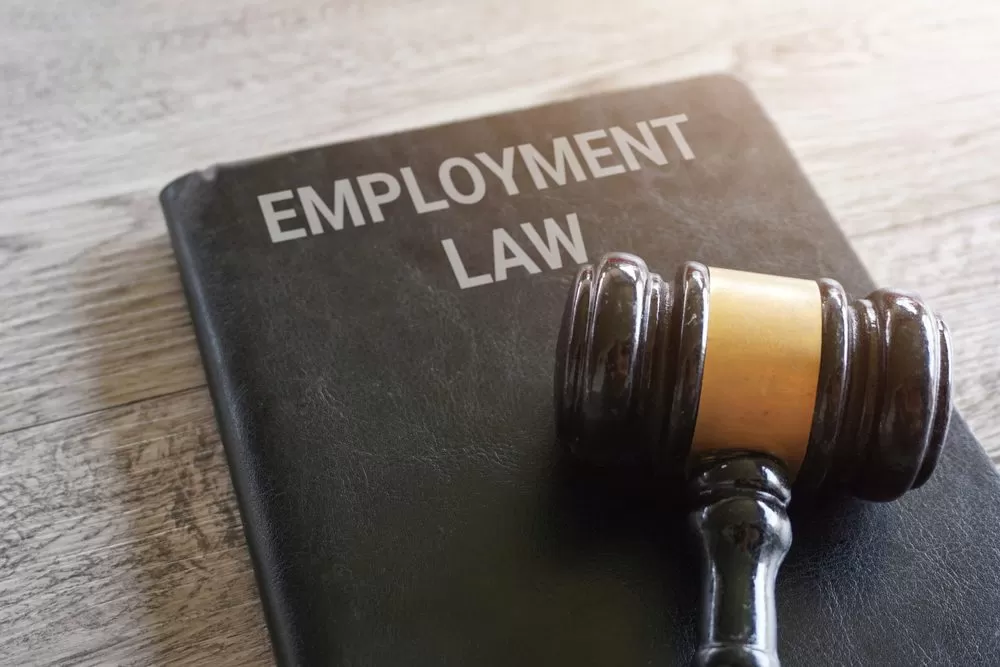 What Can an Employment Attorney in Toronto Do