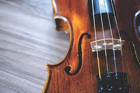 Violin Strings Market Overview By Product Types, Applications & Top Key Vendors With Forecast, To 2028