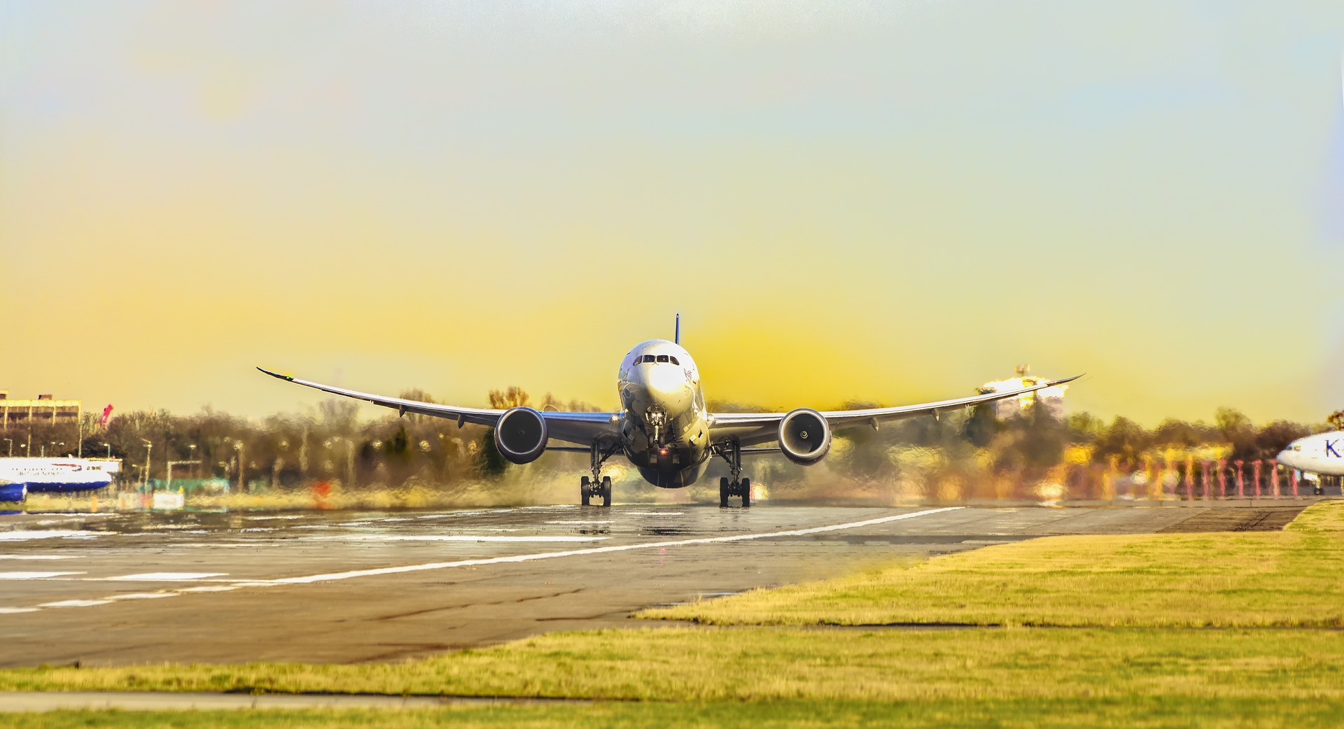 American airlines pet policy | +1(805) 539-2373
