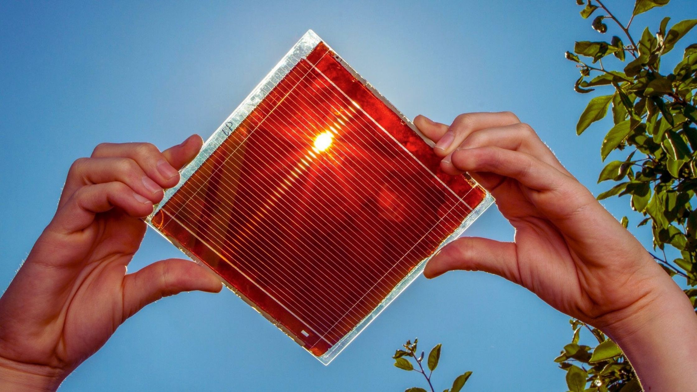 Global Perovskite Solar Cells Market to Write New Growth Story