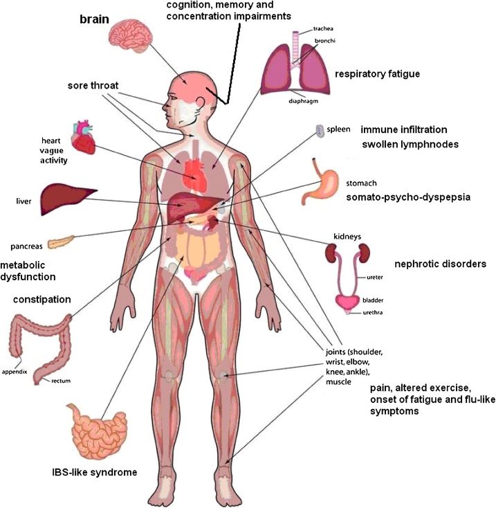 Chronic Idiopathic Constipation Treatment Market Share, Size, Trends, Industry Analysis Report To 2028