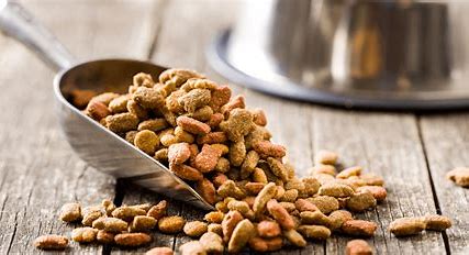 Global Pet Dietary Supplements Market 2022 Analysis Report by Recent Developments and Emerging Technologies Till 2028