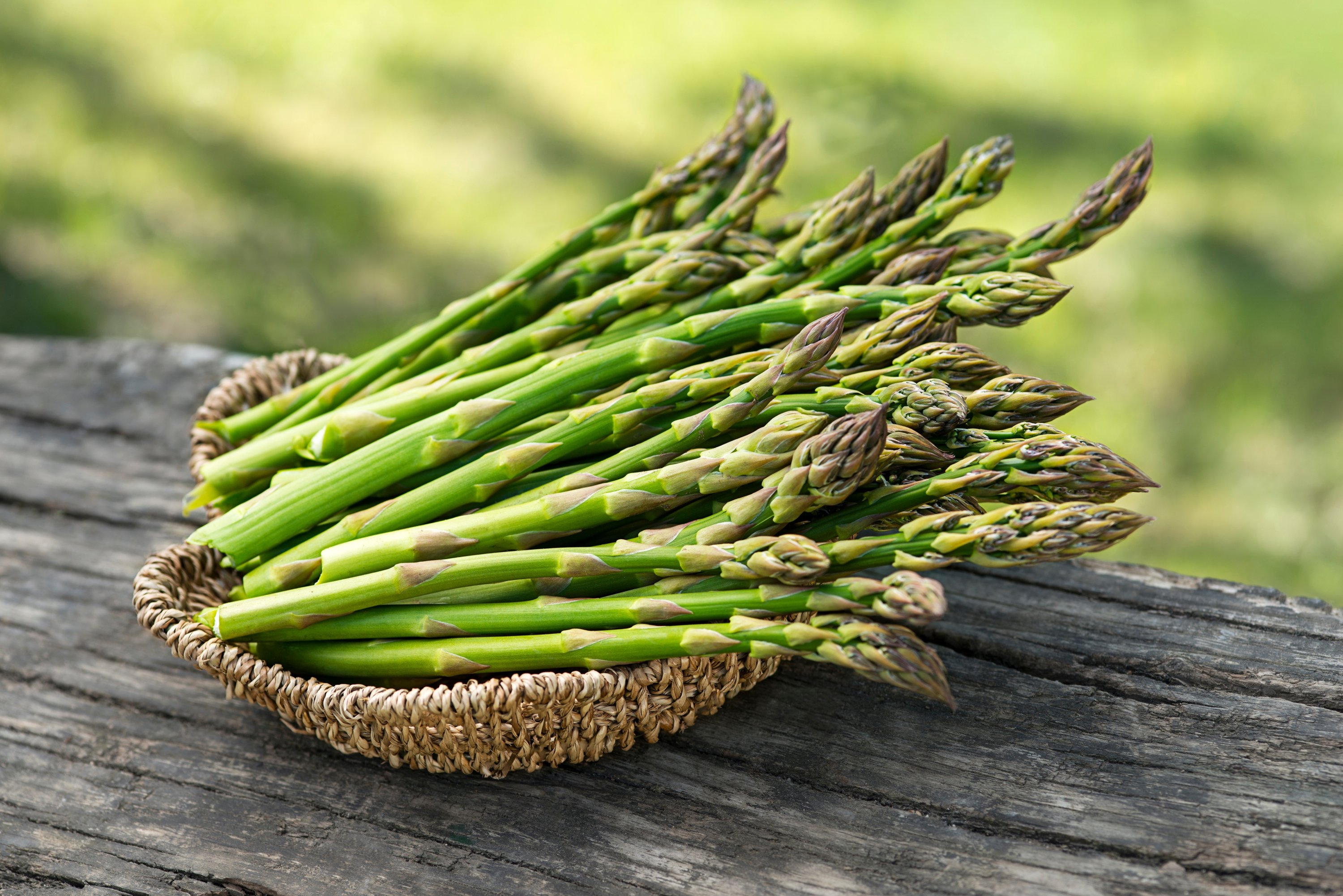 Asparagus Market Size, Share, Growth, Opportunities and Global Forecast 