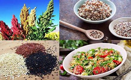 Quinoa Seed Market Size, Drivers, Restraints Challenges, and Growth Opportunities Till 2027