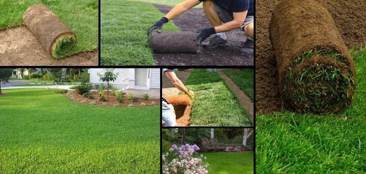 Avoid These Mistakes To Hire The Best Landscaping Services