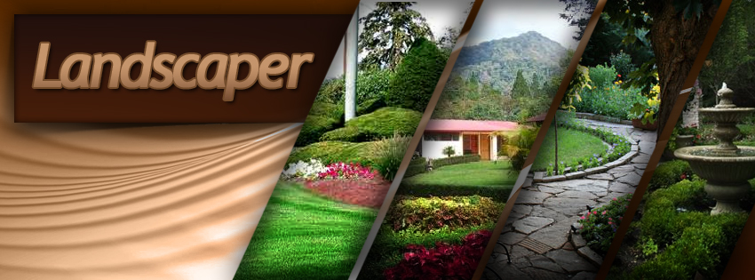 Why Should You Opt for Landscape Design for Your Home?