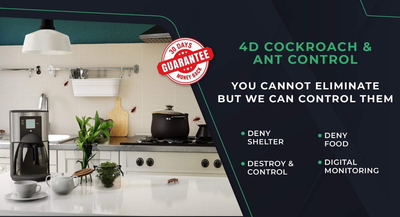 Best Pest Control For Cockroaches - HiCare