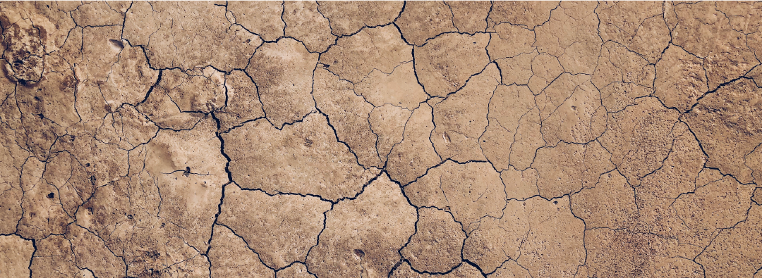 What is the relationship between climate change and desertification?