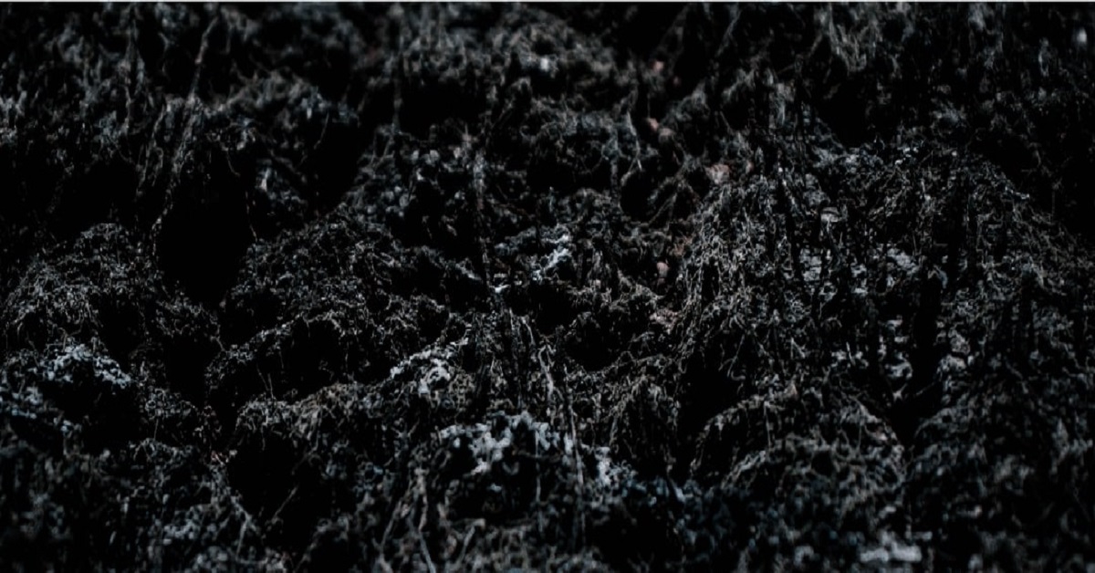 Biochar: understanding its use and benefits