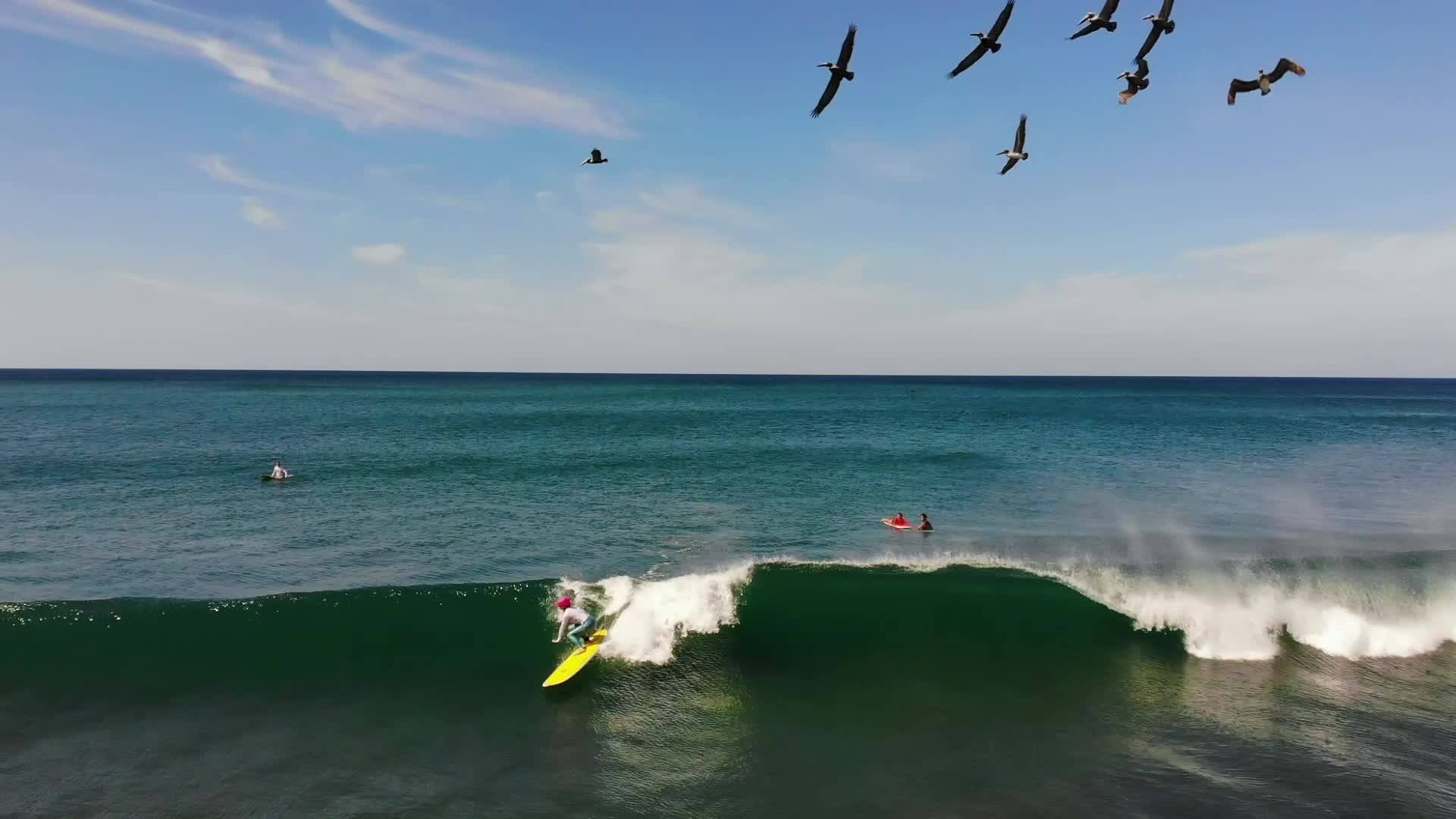 Costa Rica Surf School