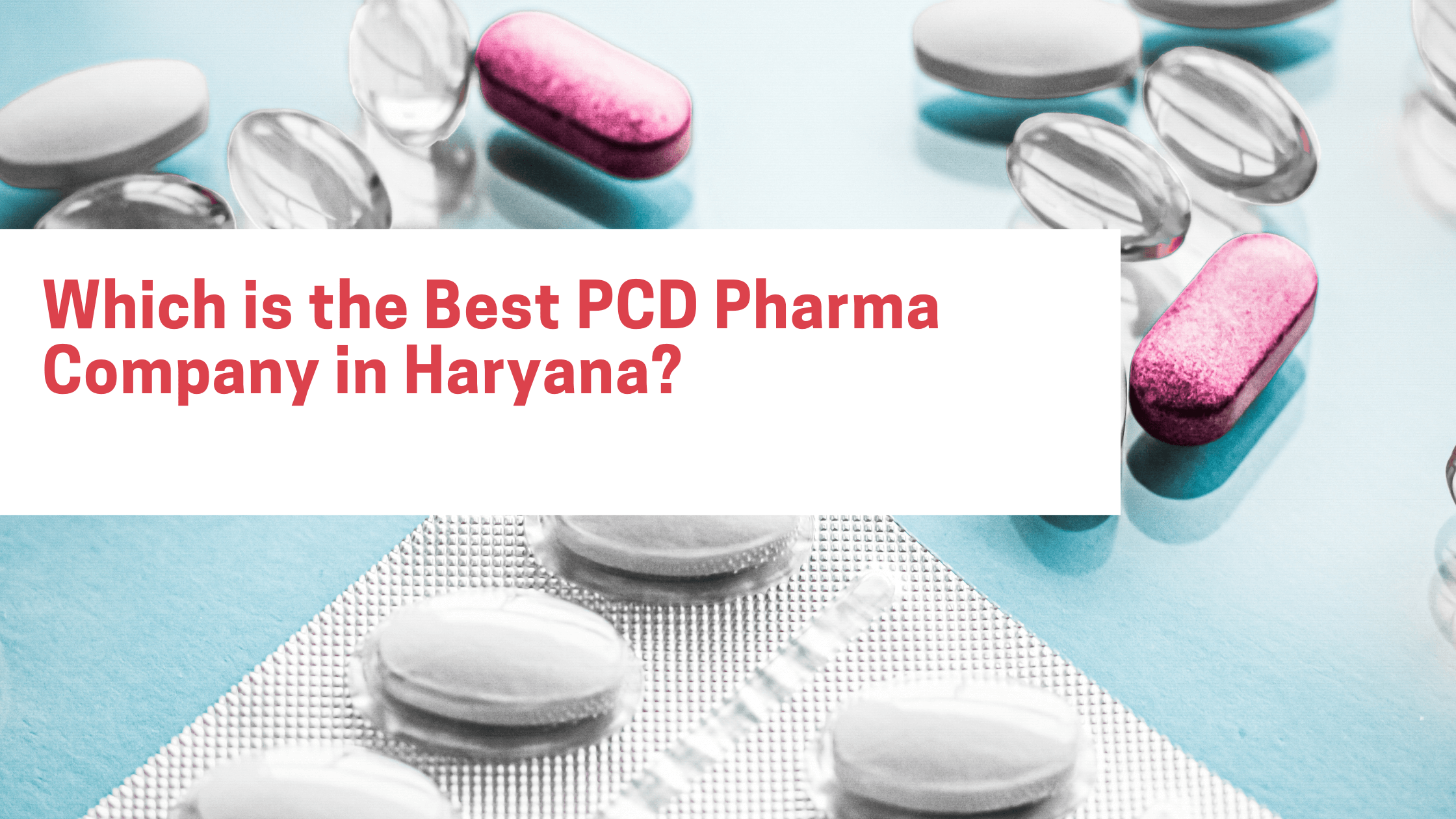 Which is the Best PCD Pharma Company in Haryana?