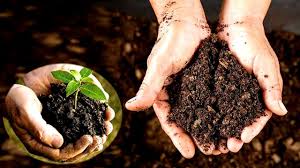 Vermi Compost Unit Project Report 2023: Plant Cost, Business Plan, Raw Materials 2028 | Syndicated Analytics
