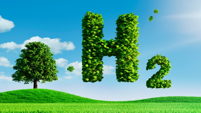 Green Hydrogen Manufacturing Plant Project Report 2024: Raw Materials Cost and Profit Margin 