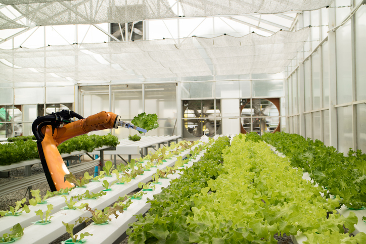 Agricultural Biotechnology Market Size, Drivers, Restraints Challenges, and Growth Opportunities Till 2027