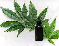 Global Medical Marijuana Market 2022 Analysis Report by Recent Developments and Emerging Technologies Till 2028