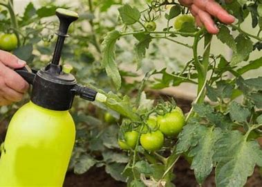 Global Fungicide Active Ingredients Market 2021 Analysis Report by Recent Developments and Emerging Technologies Till 2027