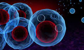 Exosome Therapeutic Market Size, Share, Growth, Opportunities and Global Forecast