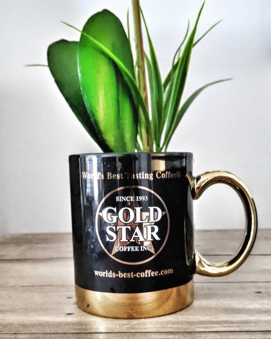 A Guide to Buying Bulk Coffee Beans: Benefits and Considerations