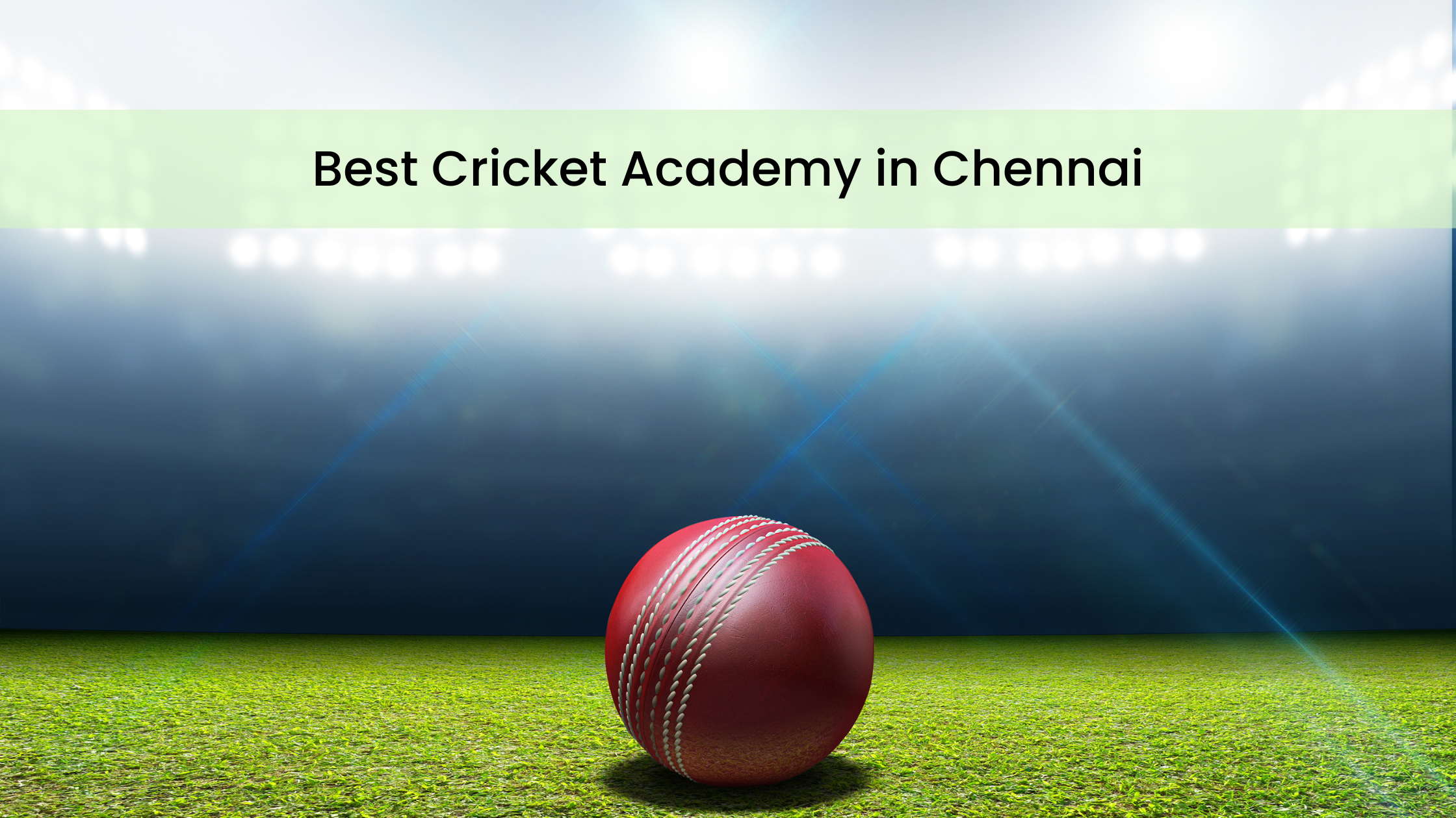 Best Cricket Academies in Chennai