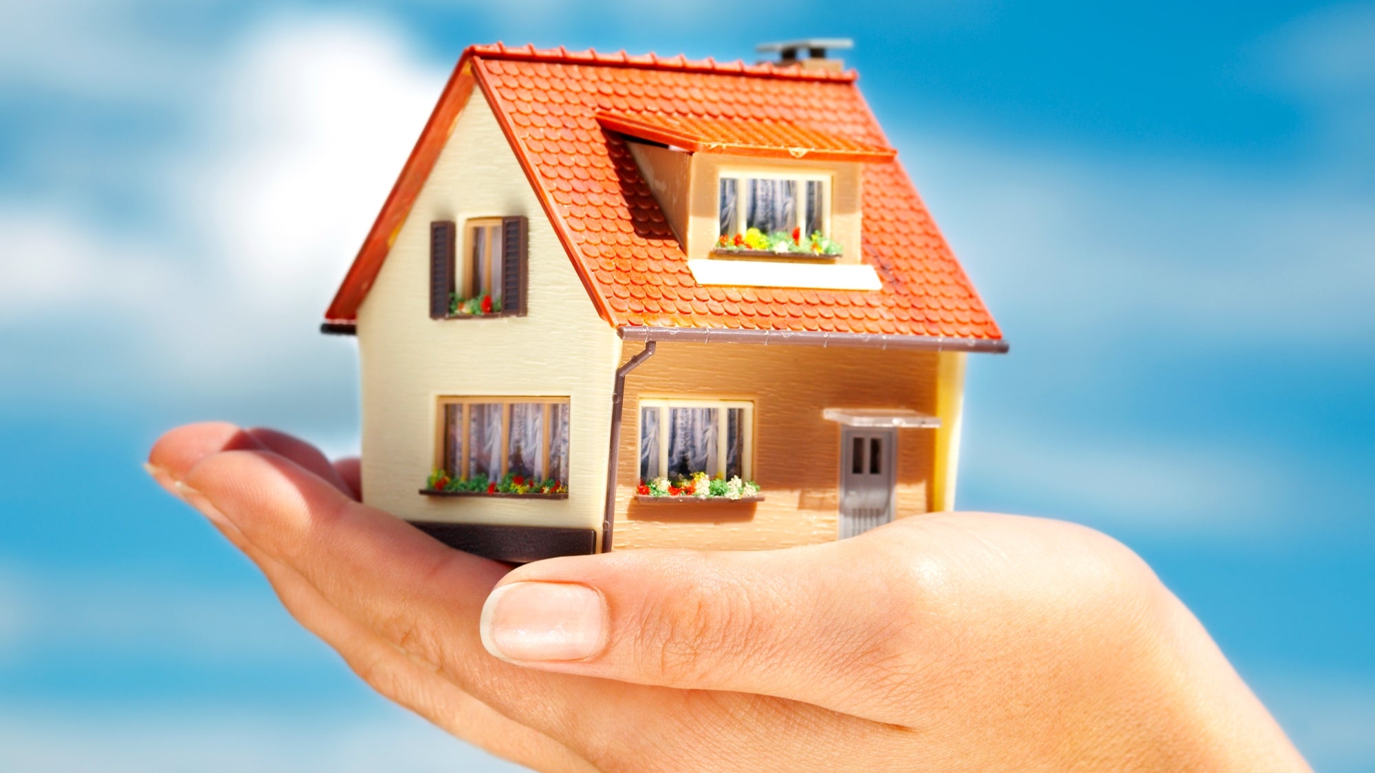 How to Set Up a Debt Payment Plan?	