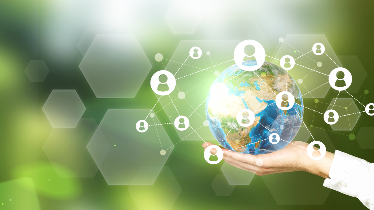 services de référencement