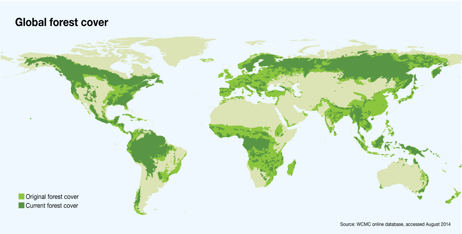 Greening Deserts Species Protection Project for Critically Endangered Tree Species and Ecosystem Restoration