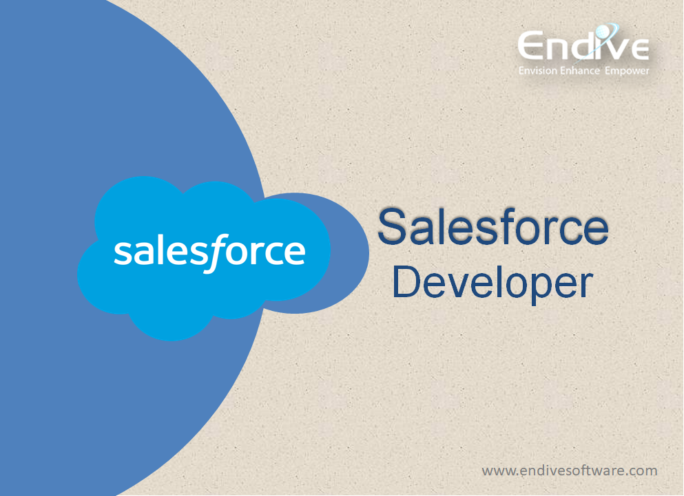 Hire Salesforce Developer - Endive Software