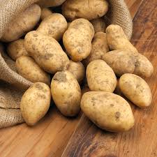 Potato Protein Hydrolysate Market Report 2022 | Global Industry Trends, Forecasts and Opportunity Assessment Till 2028