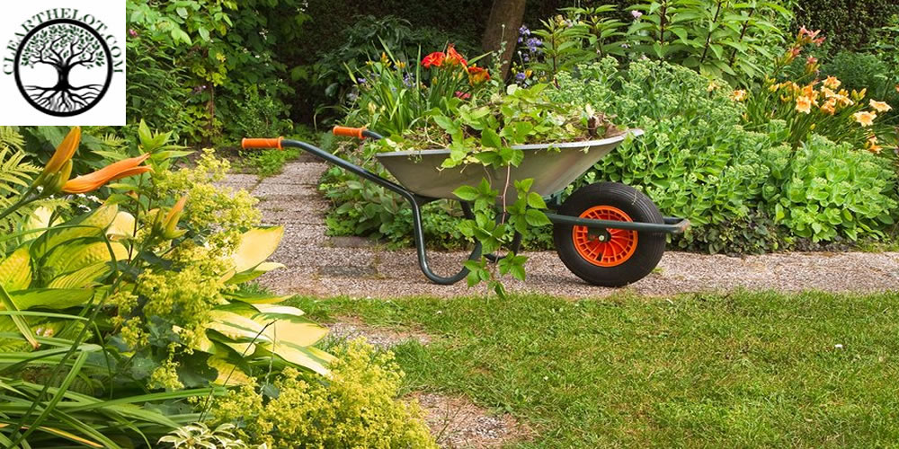 Qualified garden clearance in London
