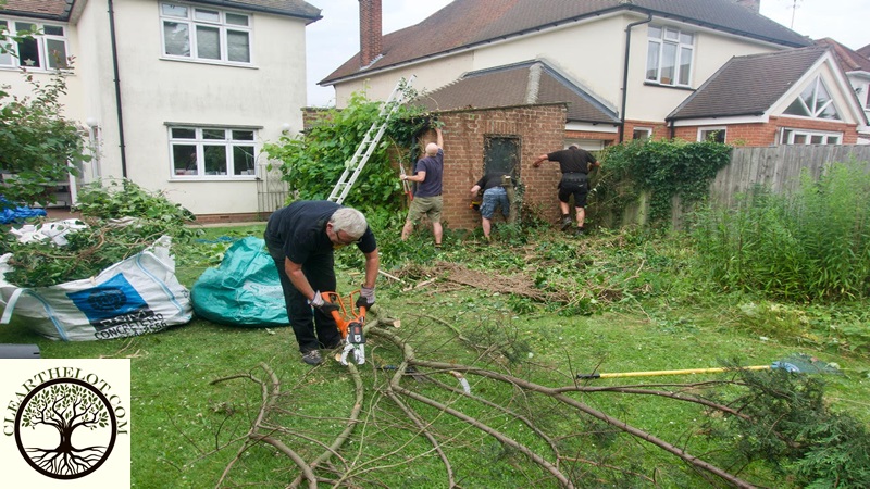 Landscaping & Garden Design