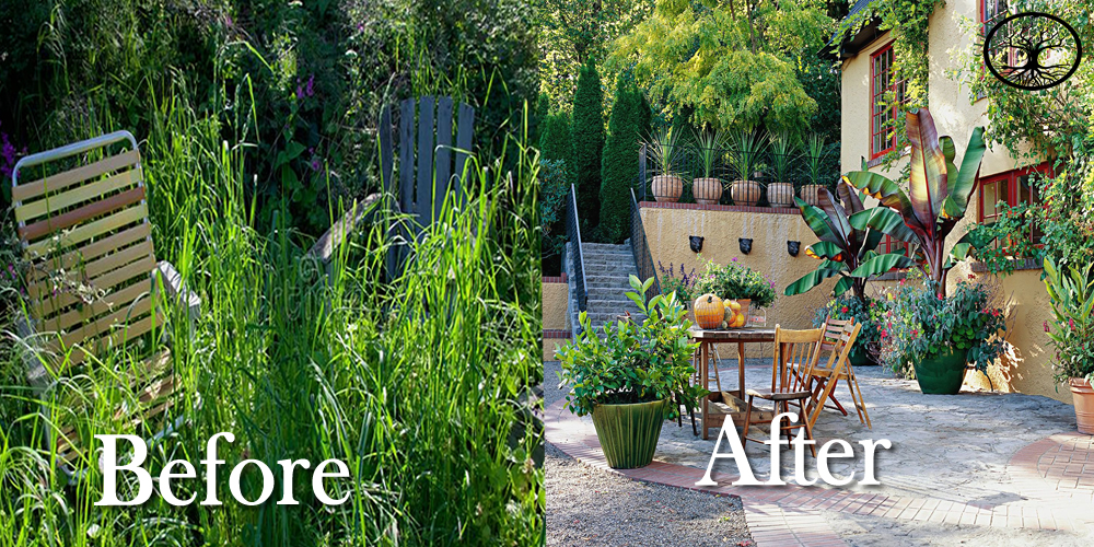 Summer garden and plant clearance in London