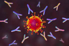 Antibody test in Tampa