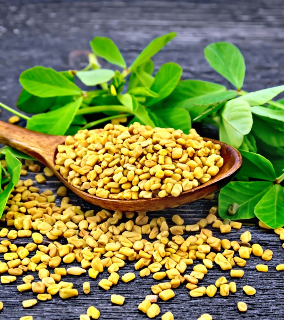 Fenugreek Market Drivers, Restraints and Challenges Analysis Report 2021-2027