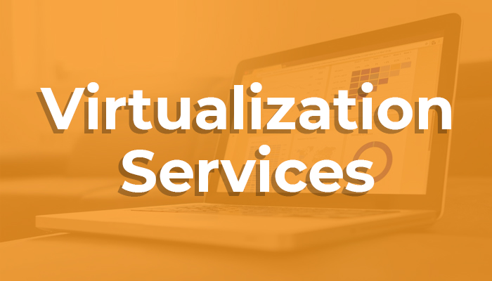 Virtualization Services?