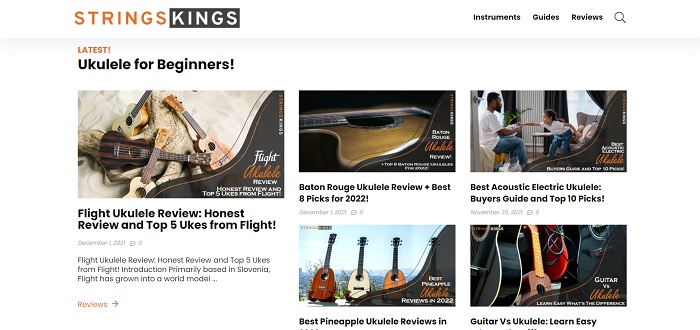 Welcome to the Kingdom of Strings Instruments!