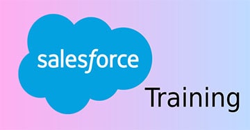 How To Use Python To Get SalesForce Data