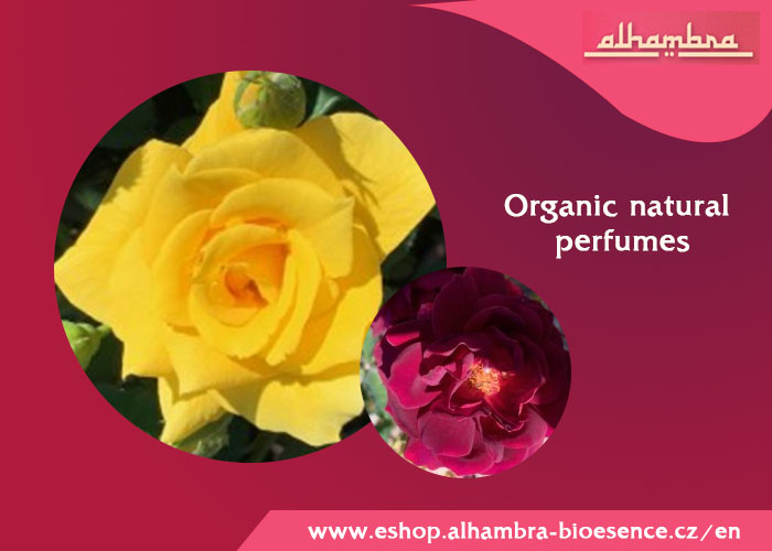 Organic natural perfumes | Alhambra