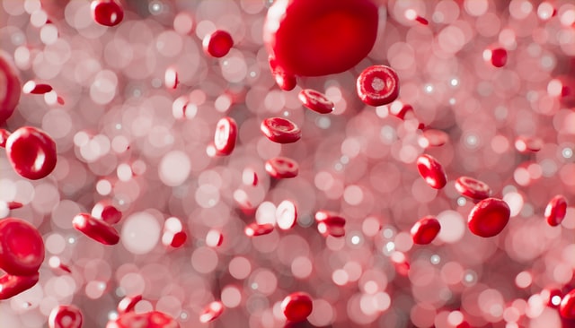 Patient Blood Management  Market Size, Landscape, Business Outlook, Current and Future Growth By 2027