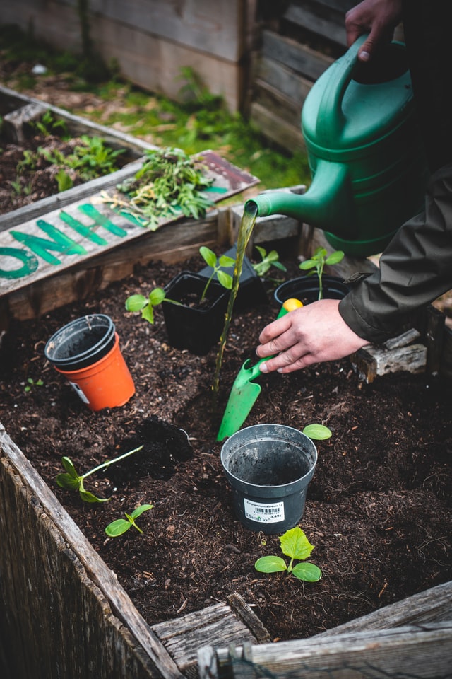 Organic Fertilizers Market by Global Size, Trends and Research Analysis 2027